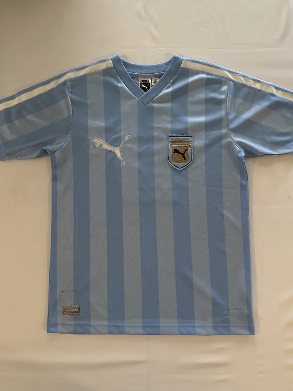 PUMA Argentina National Team #10 Football Jersey